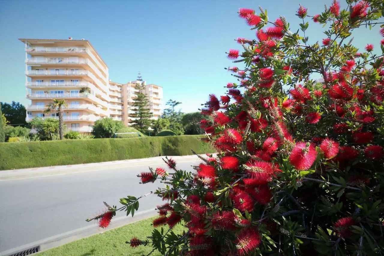아파트 Apartamentos Creu De Sant Pol 2 Habitaciones 사가로 스페인